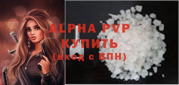 сатива Бородино