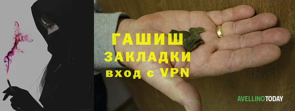 сатива Бородино