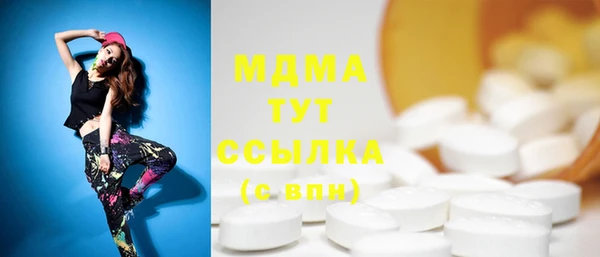 сатива Бородино