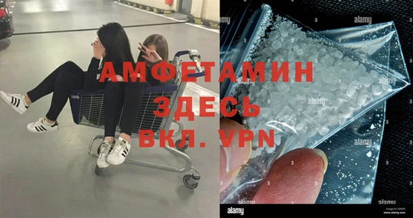 сатива Бородино