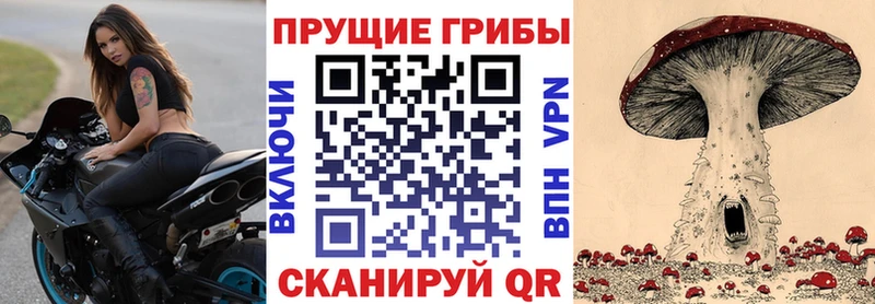 Псилоцибиновые грибы Psilocybine cubensis  Миллерово 